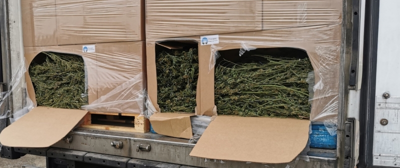 Под ръководството на Окръжна прокуратура Видин се води разследване