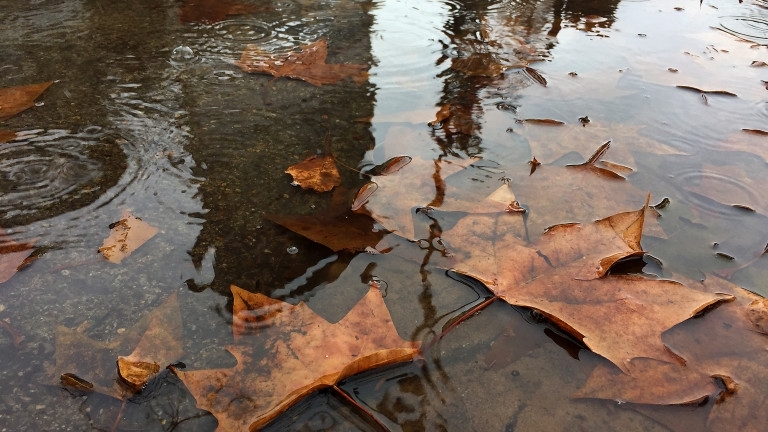 Днес преди обяд облачността ще е значителна и на места