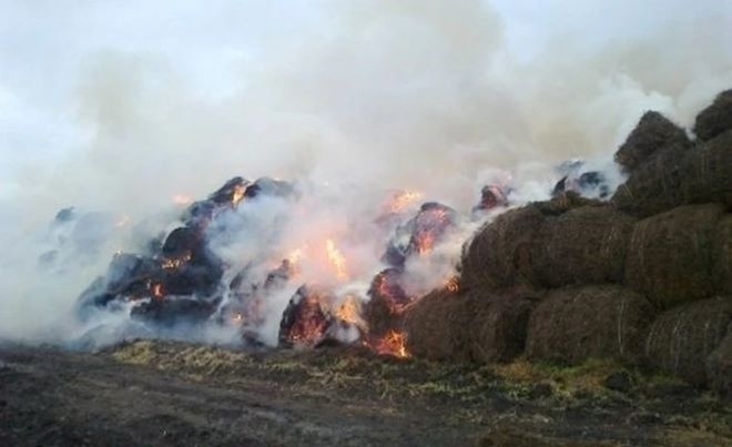 Разследват пожар във Врачанско унищожил 1800 бали съобщиха от МВР Вчера