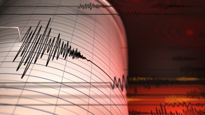 Земетресение с магнитуд 6 5 по скалата на Рихтер разтърси западното