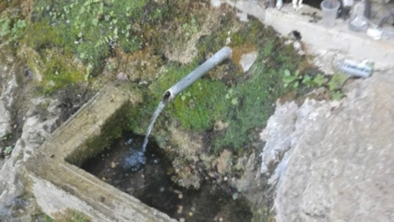 Мистериозно кладенче в село Балювица край Берковица е надежда за