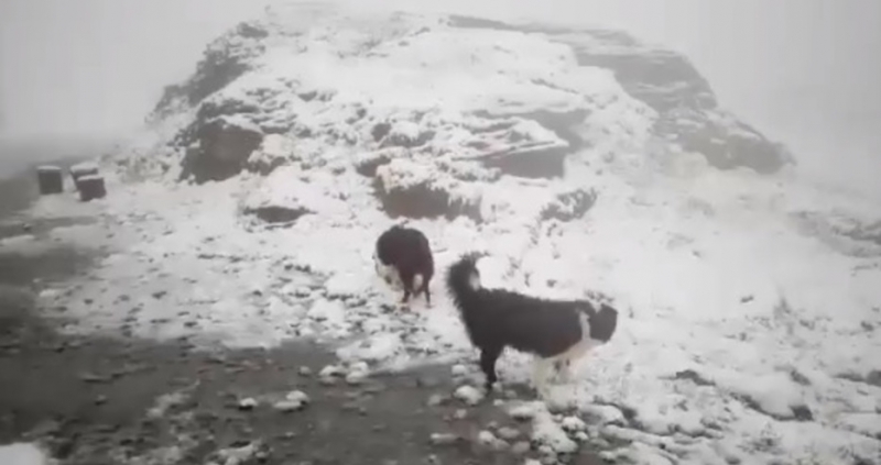 Сняг заваля в румънските Карпати На места температурите паднаха макар и