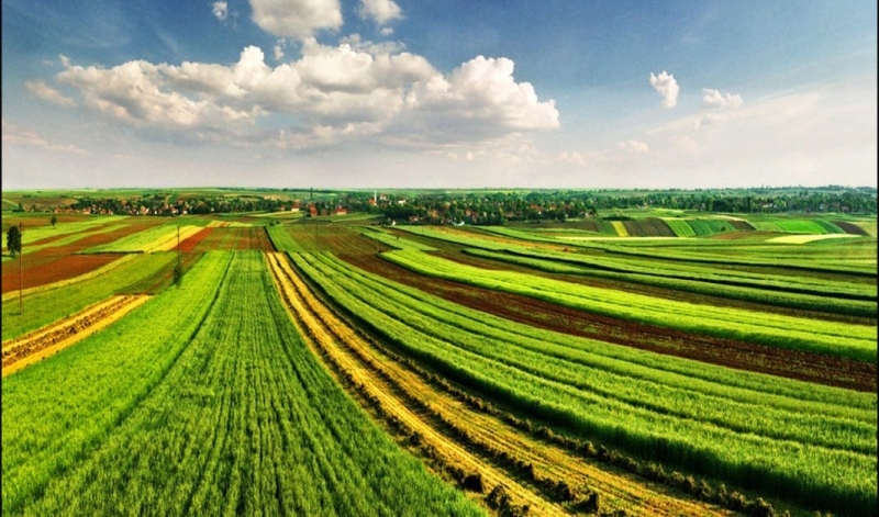 Скок в цената на обработваемата земя в Северна България отчита