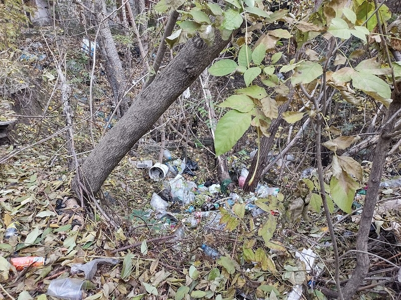 Импровизирано сметище се появи на метри от сградата на Община