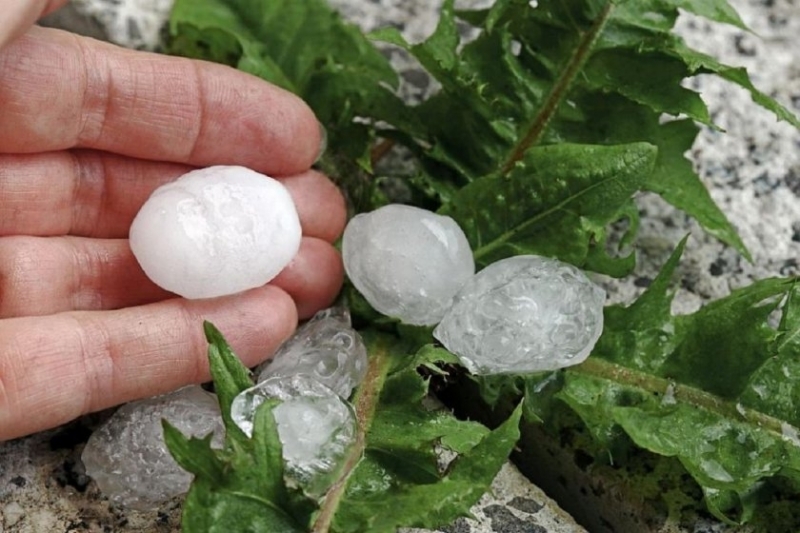 Силен дъжд придружен с градушка удари Кюстендил Земеделски производители и стопани