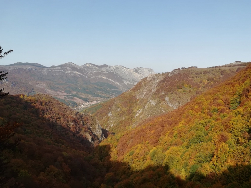 Договори за подобряване поддържане и възстановяване на природни местообитания и