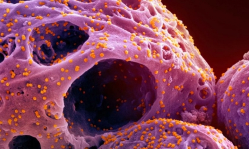 Глобалното затопляне и покачването на температурите започват да влияят все