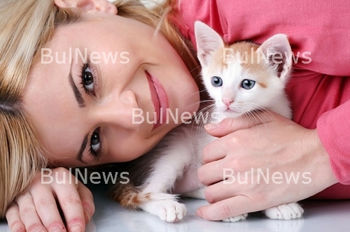 Преведоха котешко мяукане в човешка реч