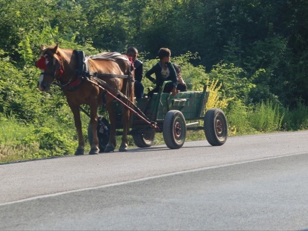 3 годишно дете пътувало в каруца е пострадало при инцидент на