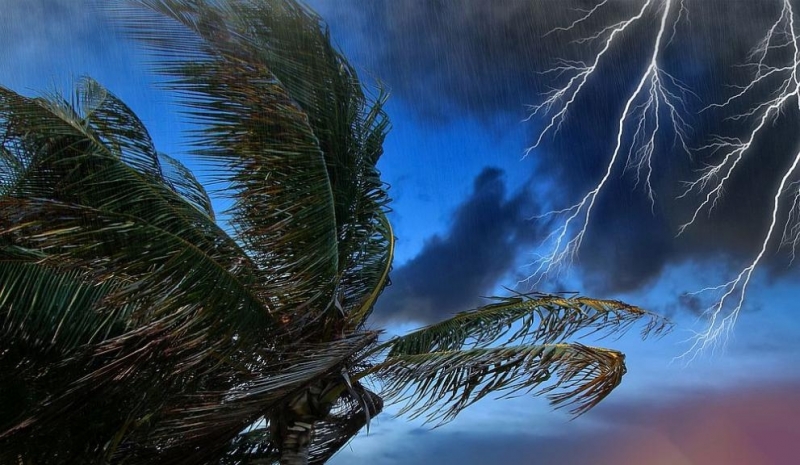 Въпреки че екстремните метеорологични и климатични бедствия се увеличават половината