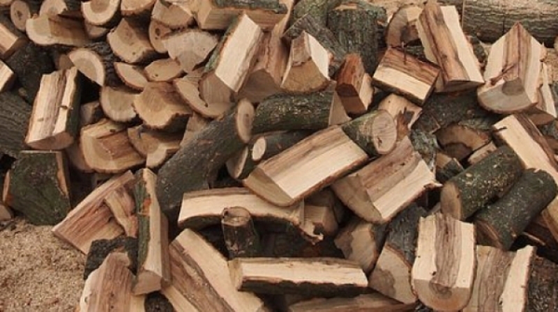 Намериха незаконни дърва в няколко имота в Монтанско съобщиха от