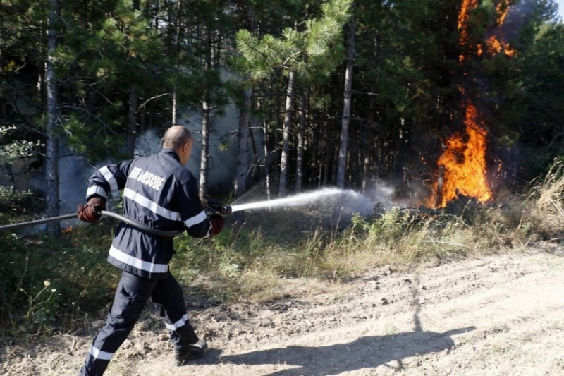 Ново огнище на пожар заради светкавица е възникнало в Национален