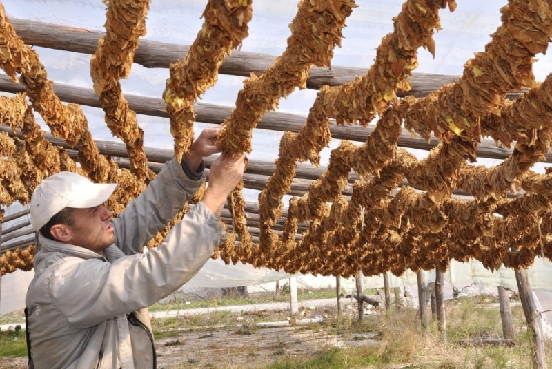 На основание чл 25 ал 4 от Закона за администрацията