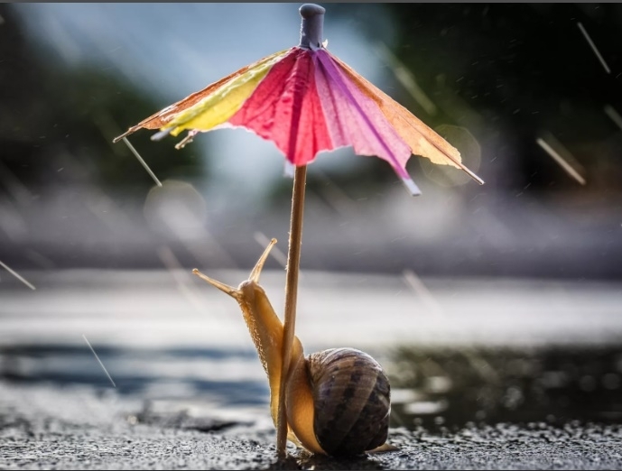 През нощта на места в Югозападна и Централна Южна България