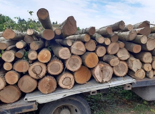 Заловиха двама с незаконни дърва във Видинско, съобщиха от МВР.