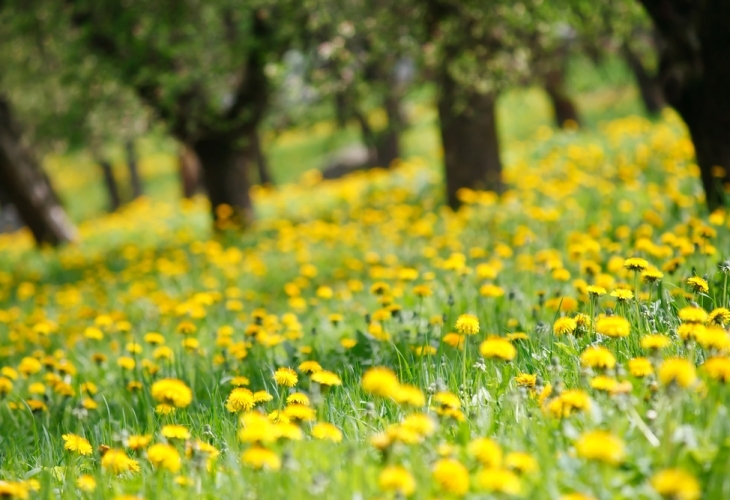 Днес над страната ще има разкъсана облачност значителна в следобедните