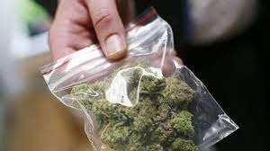 Криминалисти иззеха близо 11 грама канабис от дома на младеж