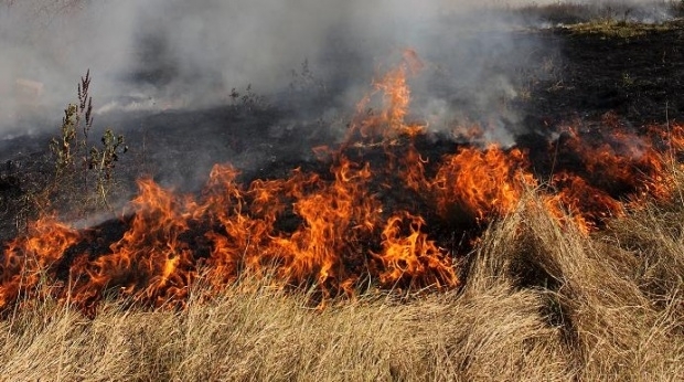 Видинските пожарникари гасили запалени сухи треви и храсти отпадъци и