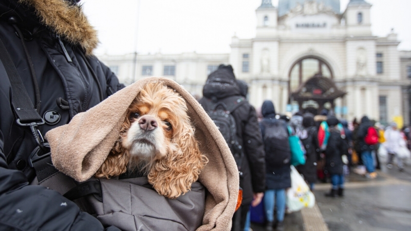 Европейският парламент съобщи че одобрява незабавното отпускане на 3 4 милиарда