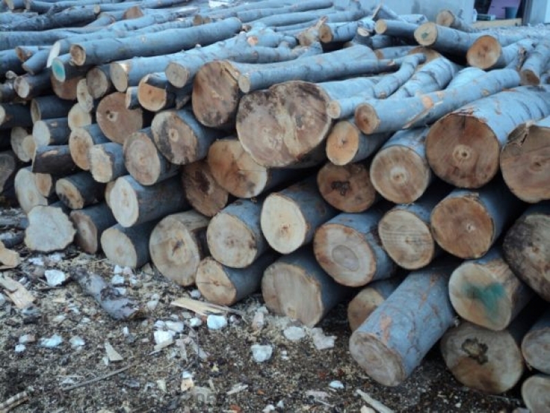 11 кубика дърва били иззети от полицията във Видинско вчера.