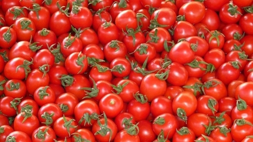 Доматени туристи от Сърбия заминават на почивка в Гърция за