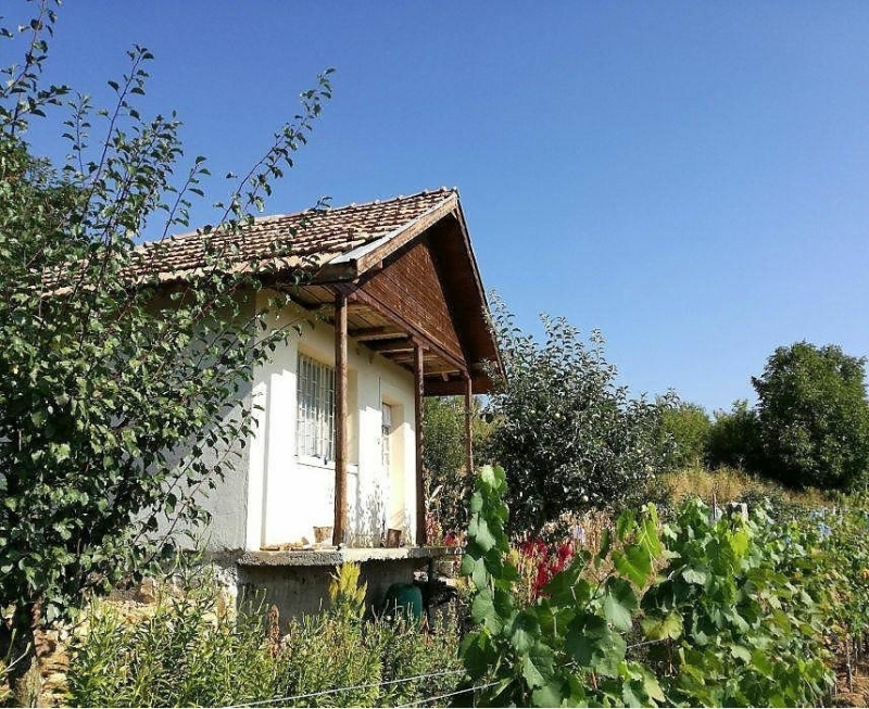 ЧСИ обяви на търг вила във врачанските лозя