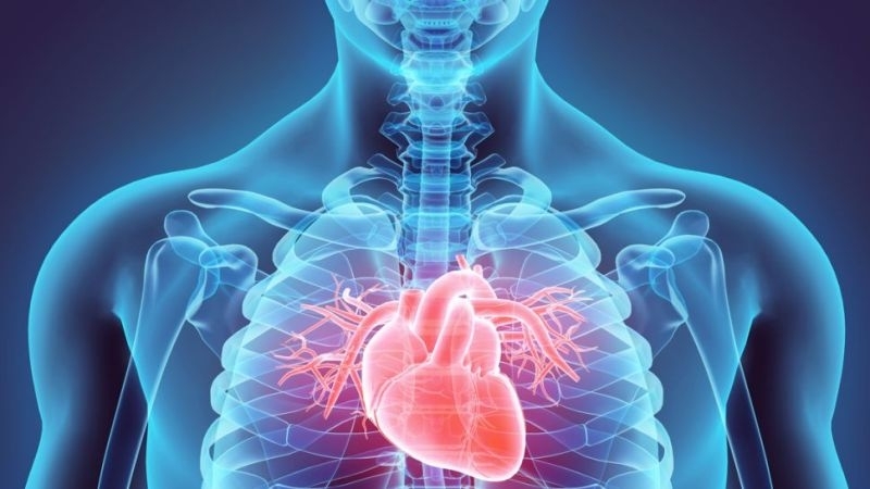 Рискът от миокардит възпаление на сърдечния мускул е седем