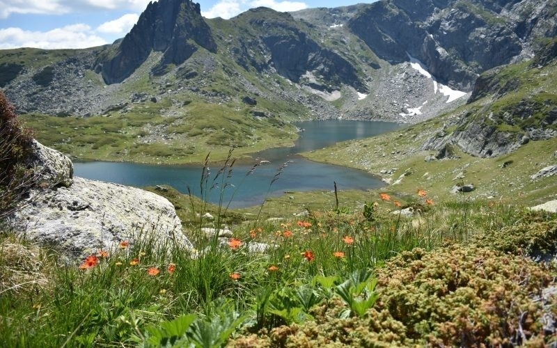 Хубавото време отново предизвика хиляди да тръгнат към планините За