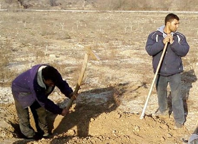 Полицейски служители са заловили двама крадци на кабели информираха от