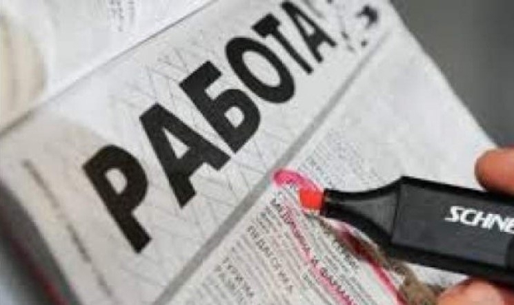 Дирекция "Бюро по труда" във Враца обяви свободните позиции на