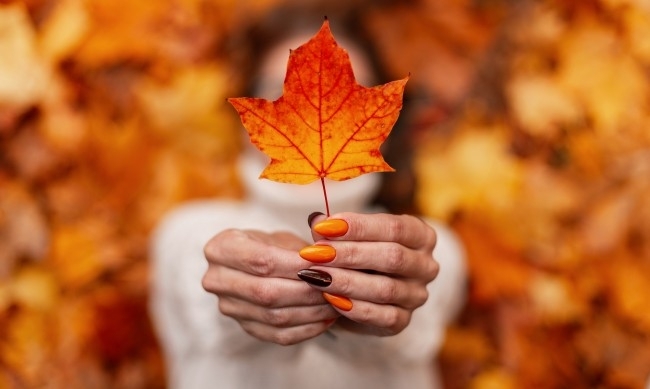 Радвайте се на слънцето: Другата седмица идва захлаждане