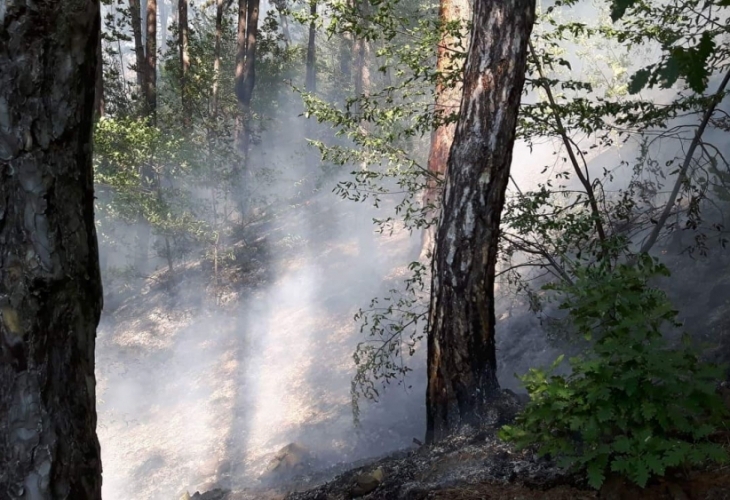 Пожарът който бушува от снощи в Балкана над Карлово е