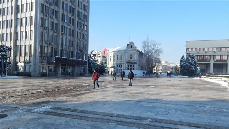 Във Видин премахват силно наклонени и изкоренени дървета съобщиха от