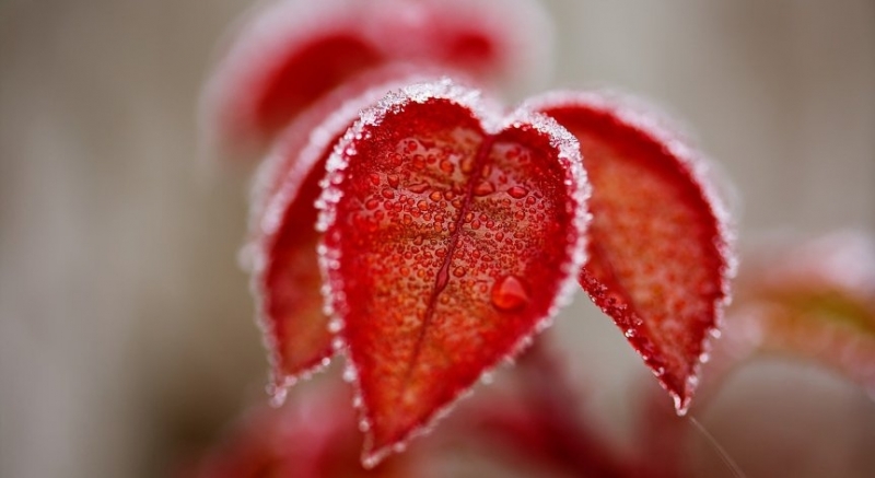 На много места днес ще има валежи от дъжд значителни