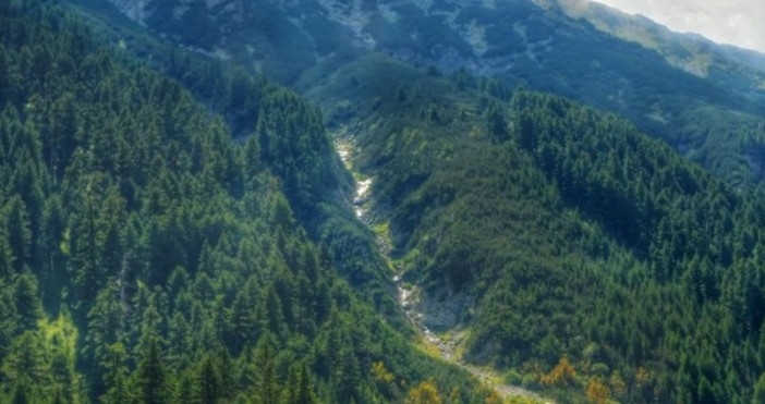 Екипи на Планинската спасителна служба помогнаха на жена при инцидент