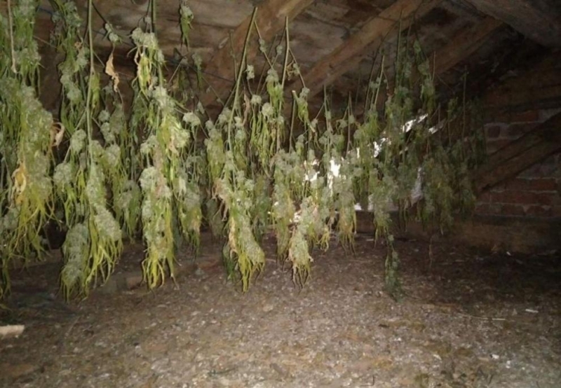 На територията обслужвана от областна дирекция на МВР Габрово се проведе специализирана