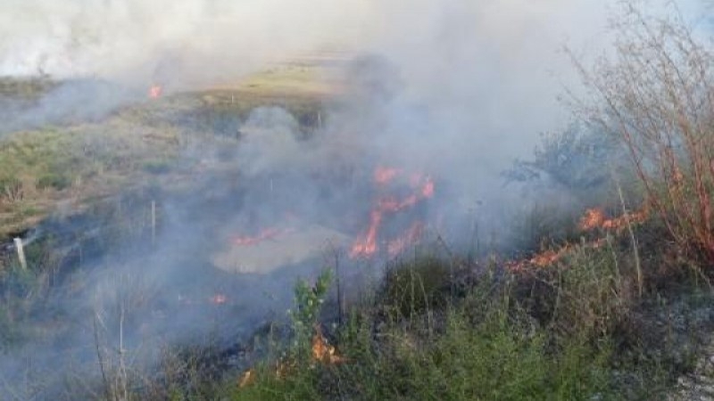Овладян е пожарът край софийското село Реброво. Мястото на новото