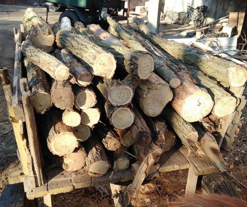 Полицията е иззела нелегални дърва от каруца във врачанското село