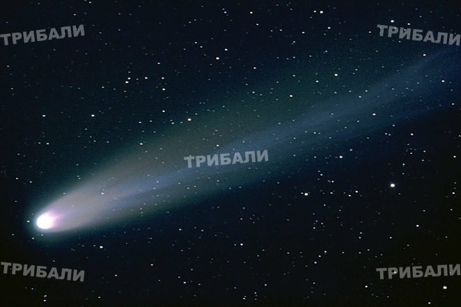 Тайнствена комета лети към Земята? (ВИДЕО)