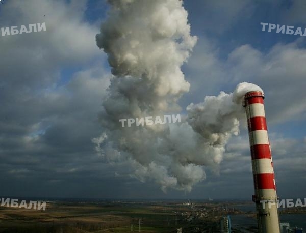 От мръсния въздух се оглупява