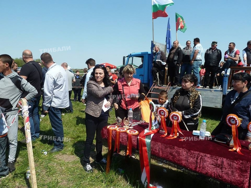 Конни състезания се проведоха в Борован