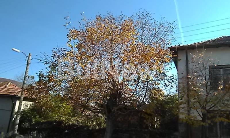 Вече повече от 4 месеца от ЧЕЗ лъжат клиент че