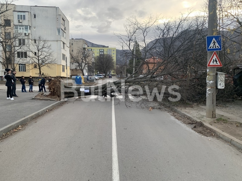 Силният вятър който от снощи брули Враца вече създава проблеми