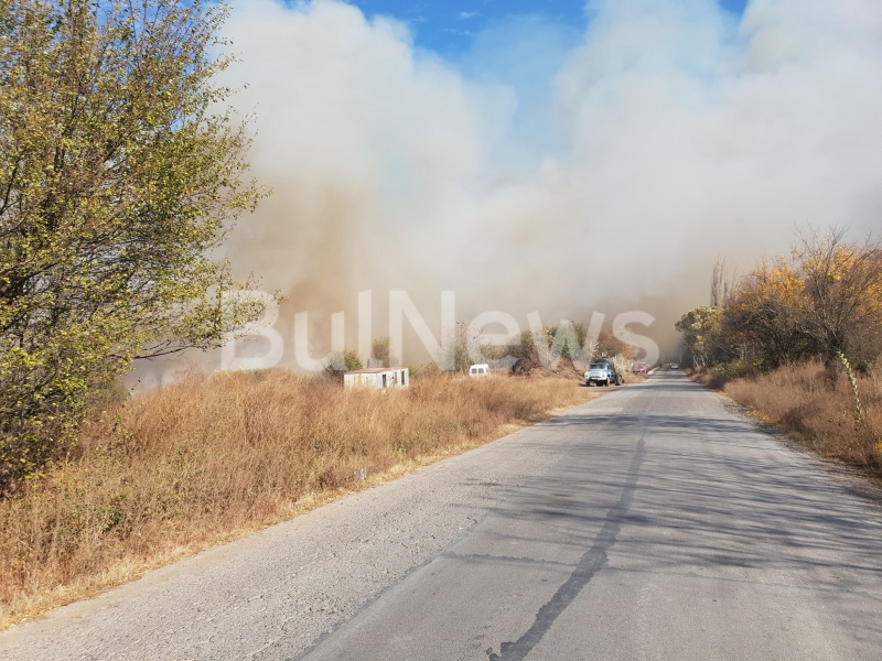 Голям пожар бушува край кравефермата на известния бизнесмен Димитър Зоров