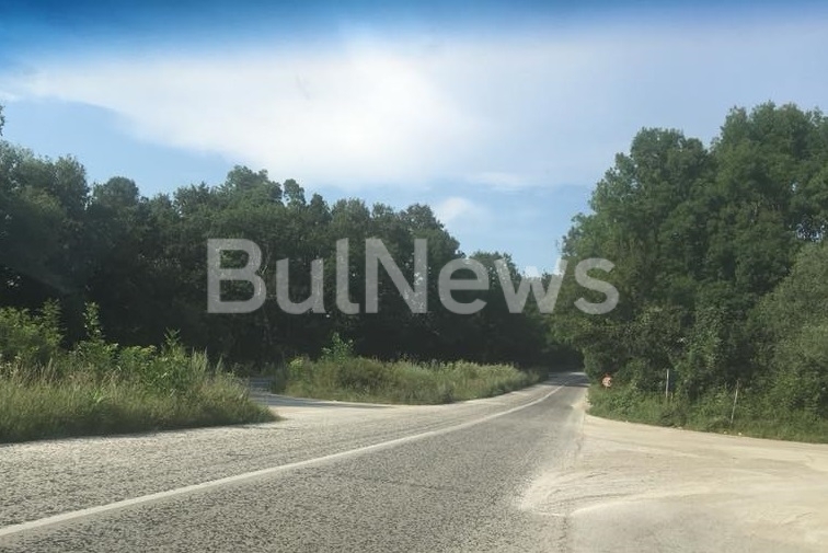 Бурна растителност след ежедневните дъждове това лято превърна пътищата във