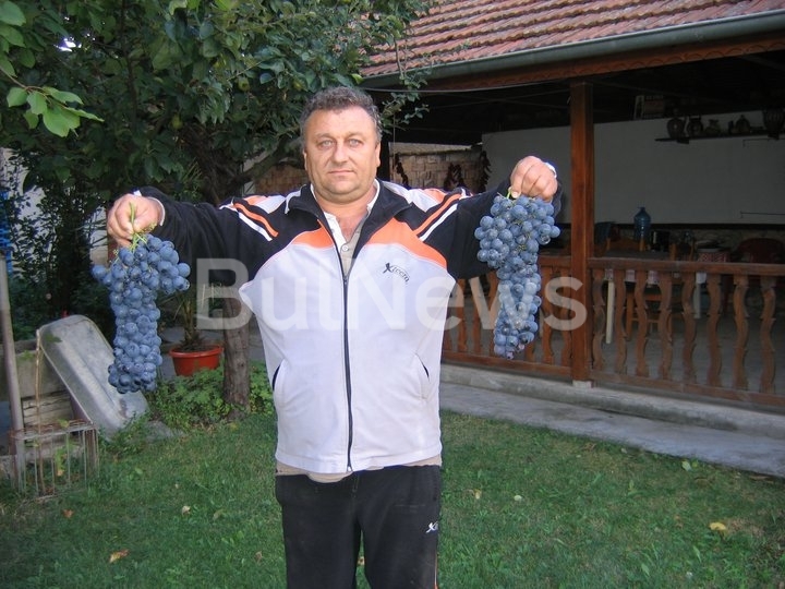 Кметът на врачанското село Градешница вчера е подал оставка научи