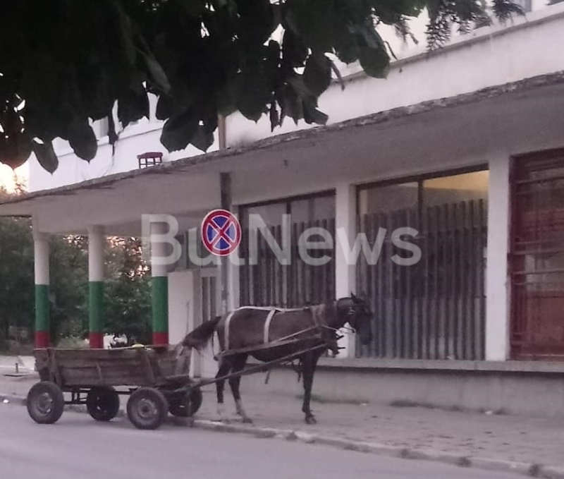 Неволите на живеещите в село Три кладенци не спират Наглостта