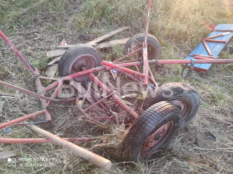 Кола е блъснала каруца в Лом научи агенция BulNews За