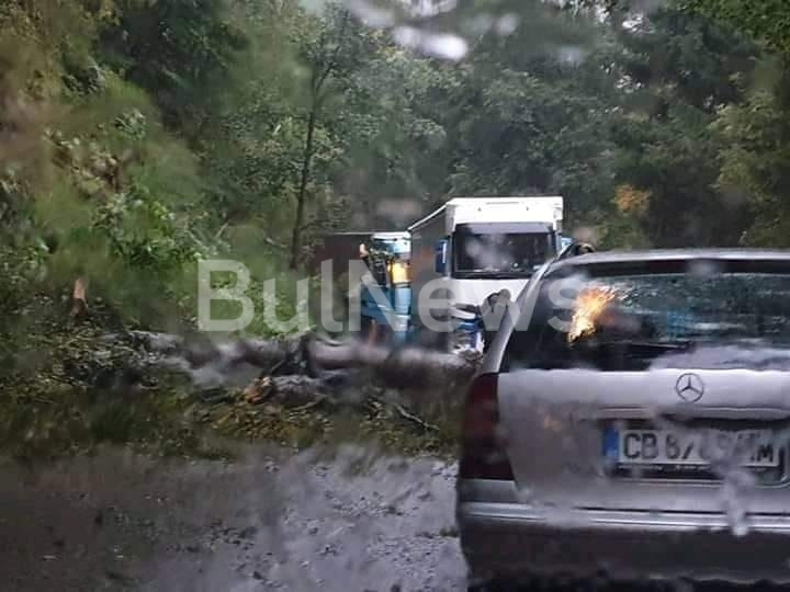 Мазало на „Петрохан“! Аварирал ТИР и паднало дърво затвориха прохода, опашките са километрични /снимки/