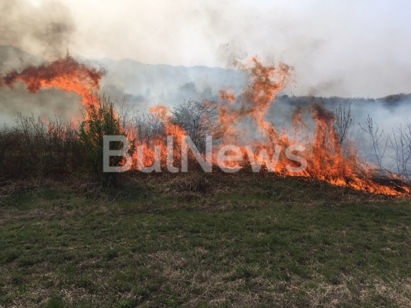 Огромен пожар бушува в полето на излизане от Враца в